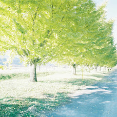 언제나해피엔딩