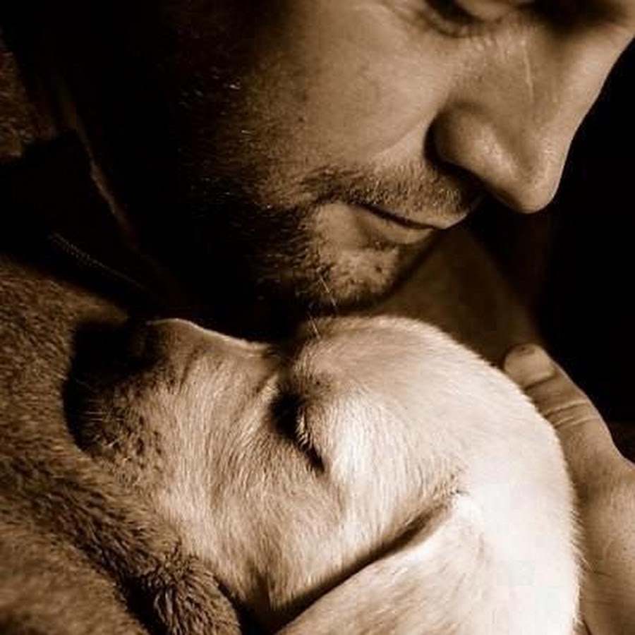 Мужчина с собакой. Трогательные объятия. Люди и животные любовь. Любовь собаки к человеку.