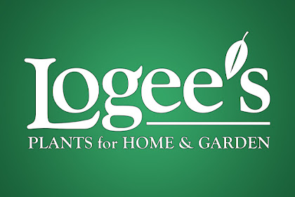 sensitive plant care logees