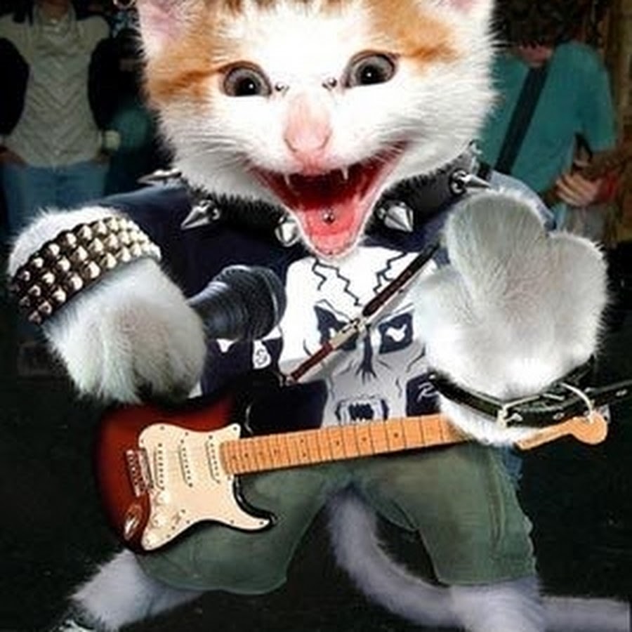 Кот панк. Кот рокер. Коты Металлисты. Котик с гитарой