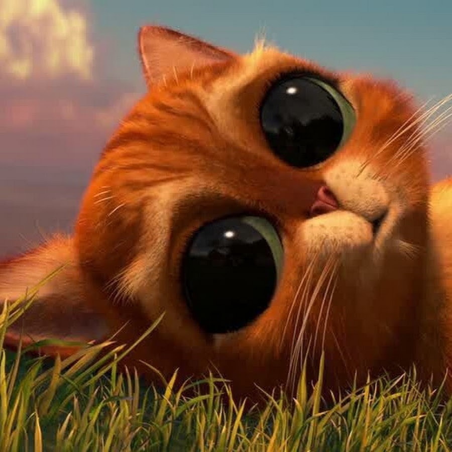 Кот из шрека с большими глазами рисунок