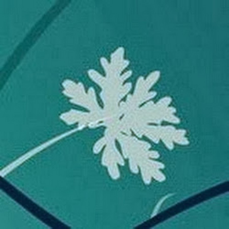 ロシア面白動画nafiga Youtube