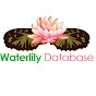 Waterlily Database - @WaterlilyDatabase YouTube Profile Photo