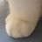 토익꿀벌