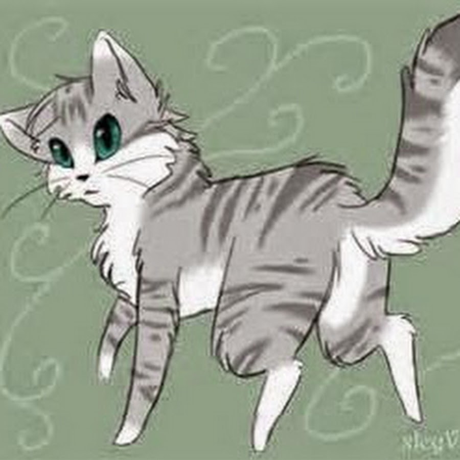 коты воители мейн кун. коты воители серые кошки. коты-воители от vialir пятнистая звезда. безух коты воители арты. коты воители бело серый.