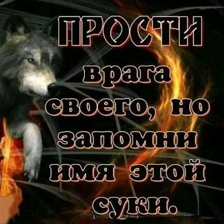 Прости врага своего но запомни