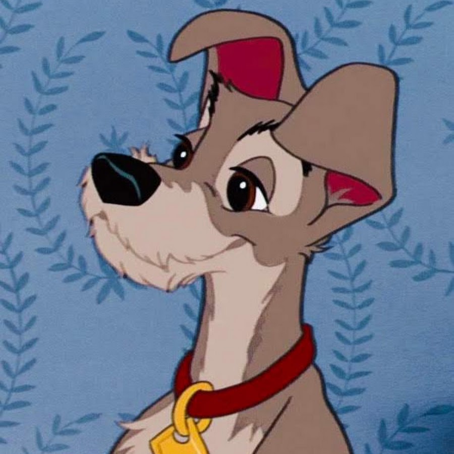 Как зовут собаку леди. Как зовут собаку леди. Как зовут собаку леди. Как зовут собаку леди. Как зовут собаку леди.