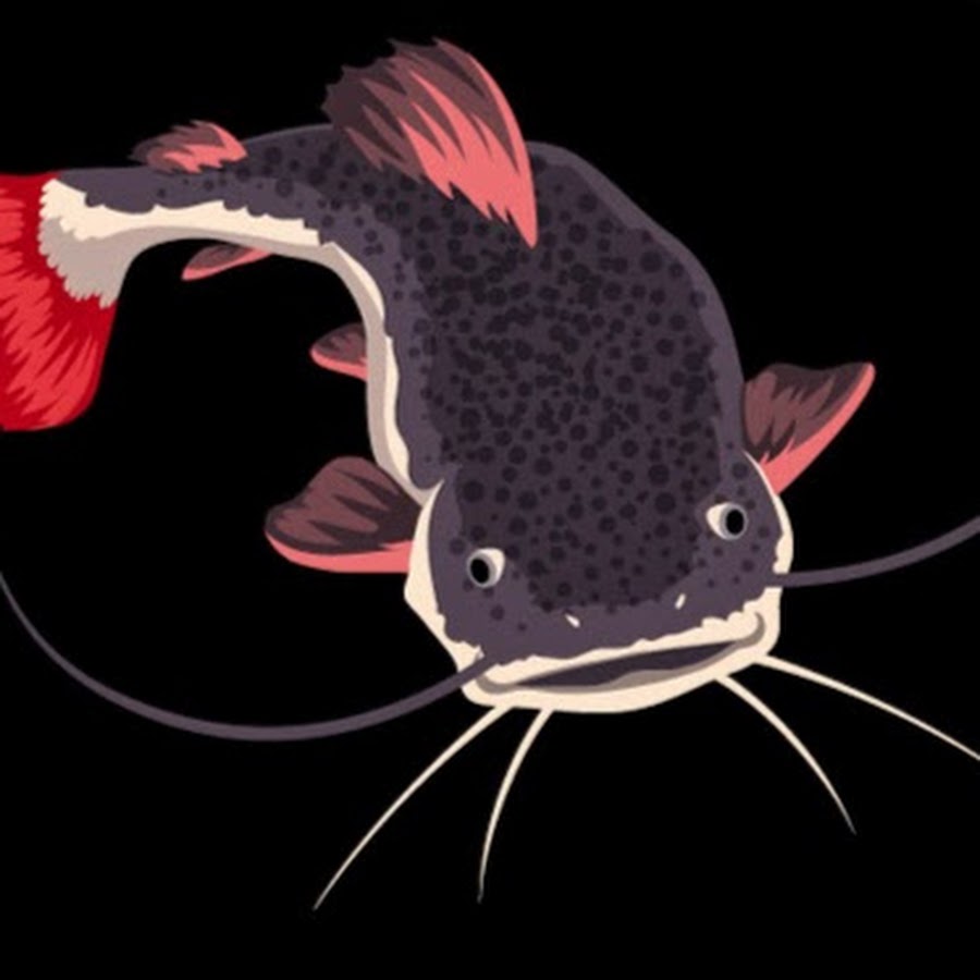 Рисунок сомы японские