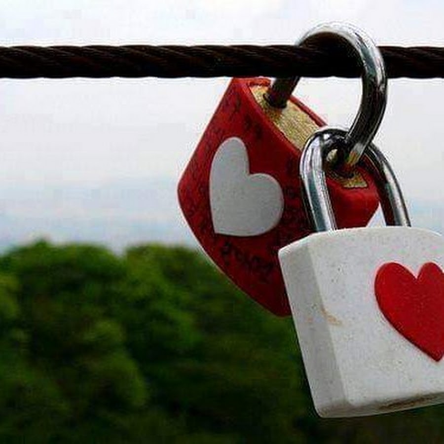 Синган юрак картинка