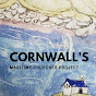 Insitute of Cornish Studies YouTube Profile Photo