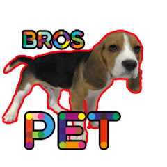 Bros Show PET thumbnail