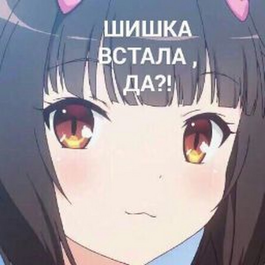 Шишка встала картинка