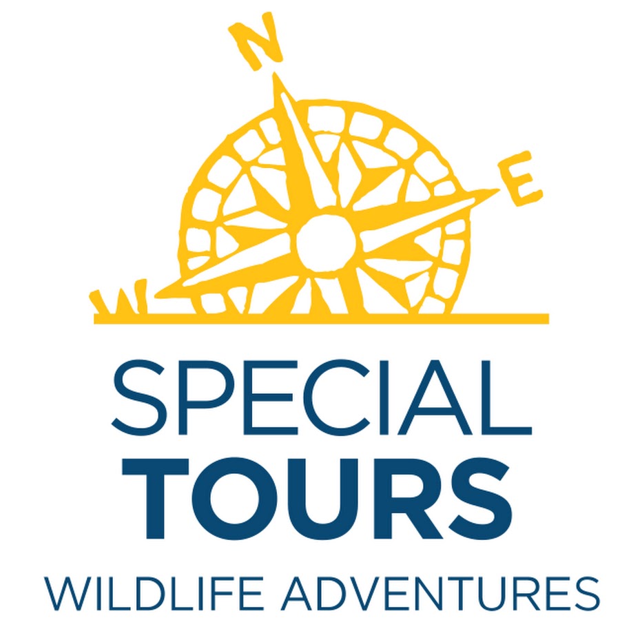 Special tour. Special tour. Истленд турс. 38 special "tour de force, cd". Special tour.