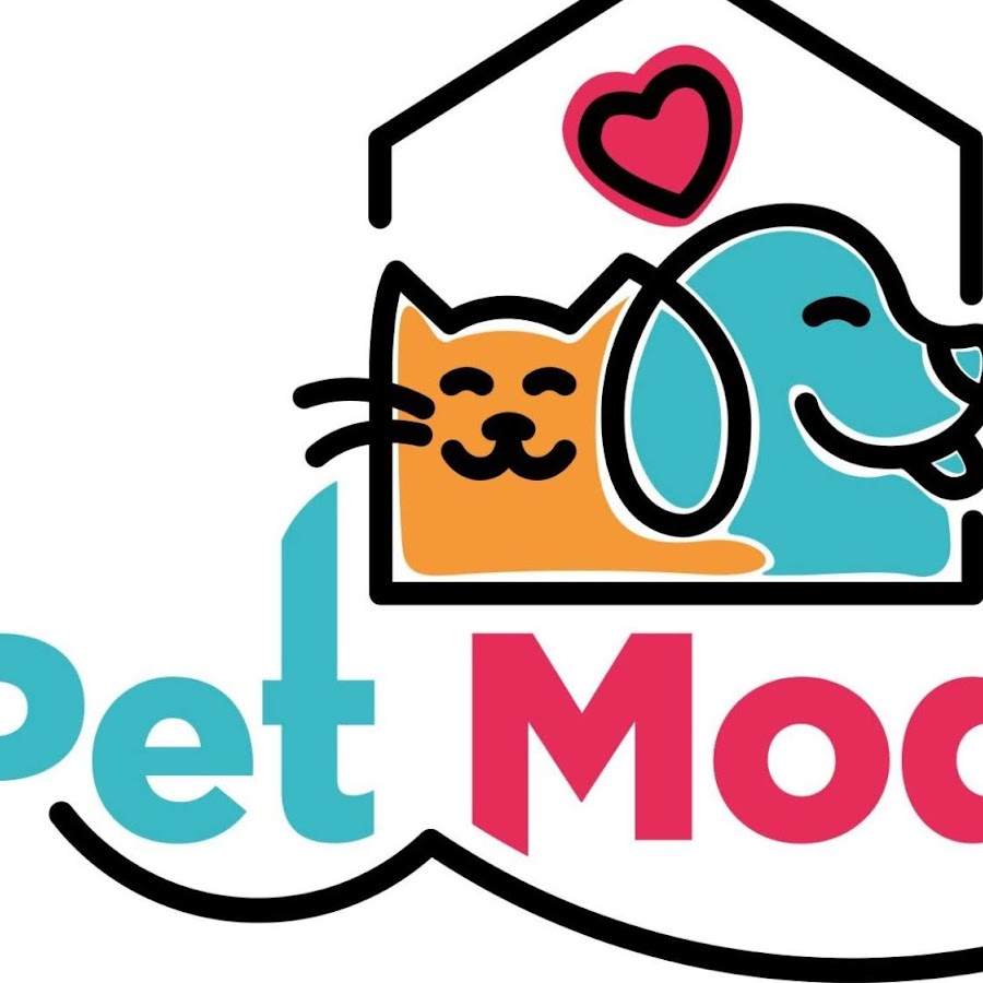 pet mode petshop pet s choice veteriner klinigi youtube