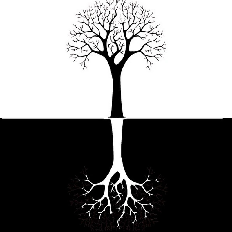 TreeLSF - 網紅的藏寶箱 