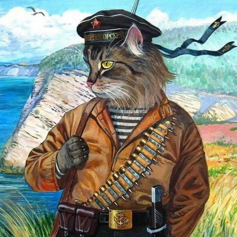 Котики в форме
