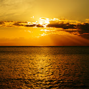 アイ高野７回忌追悼ライブ告知用 Mov Youtube