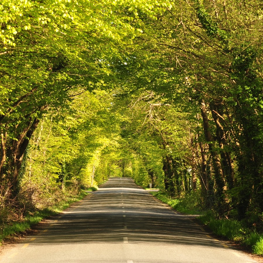 Green Road Youtube