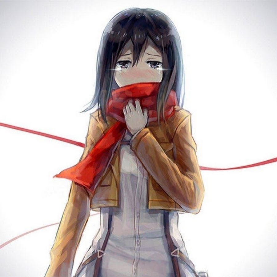 Mikasa Сhan.
