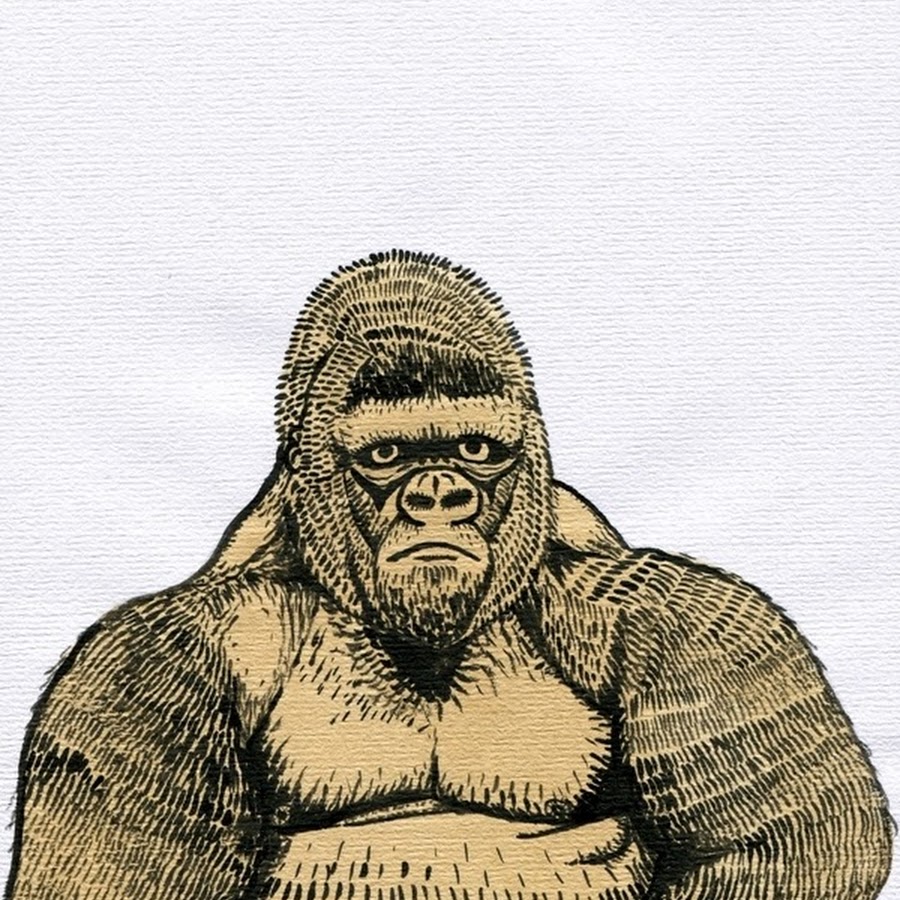 Зверобой горилла. Горилла. Горилла арт. Горилла рисунок. Нарисовать гориллу.
