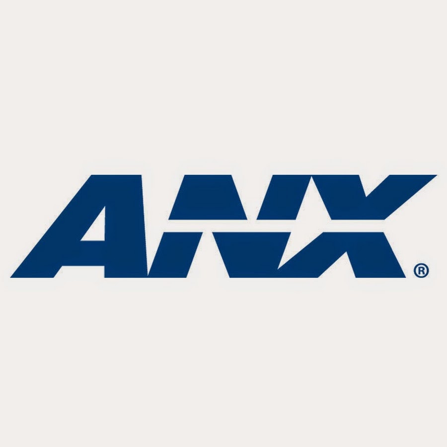 anx net worth - Ilustrasi 3