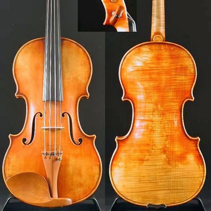 Скрипка вьетан