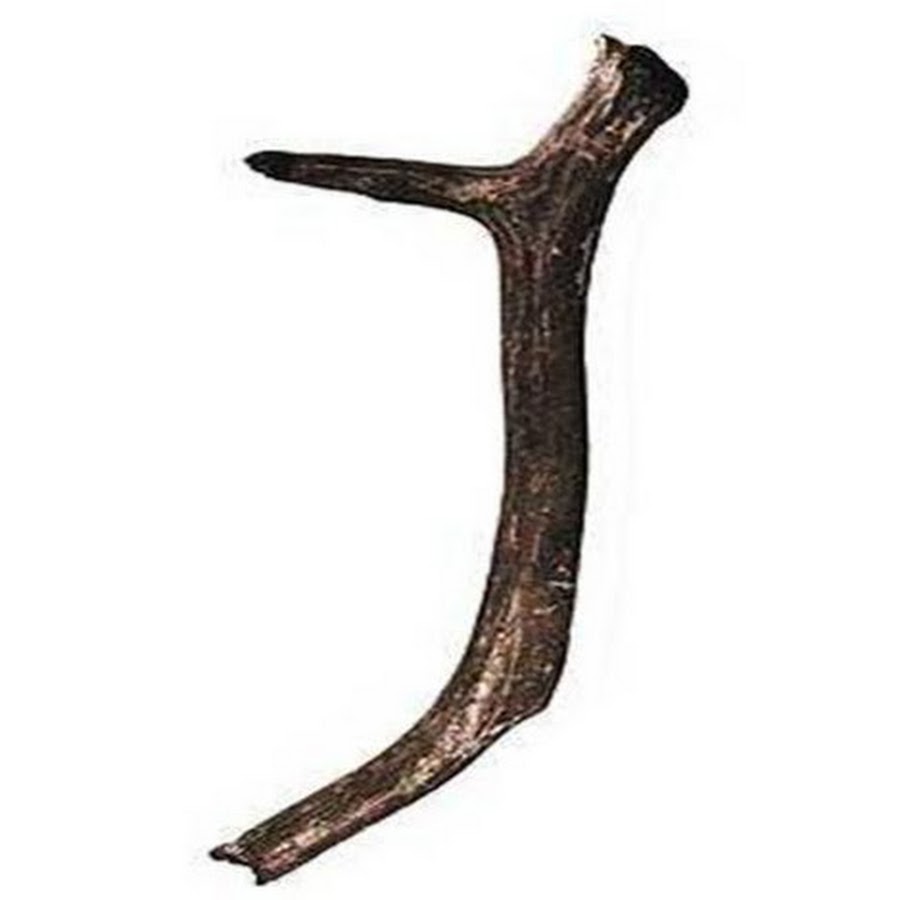 Древнейшие орудия труда дубина. Палка копалка древних людей. Орудия древнего человека палка копалка. Древние орудия труда первобытного человека палка копалка. Палка копалка древних людей рисунок