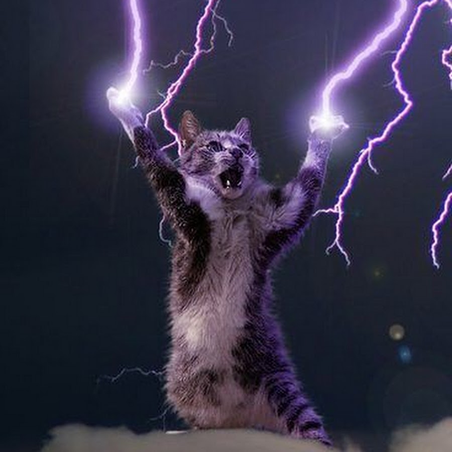 Котик электрик арт