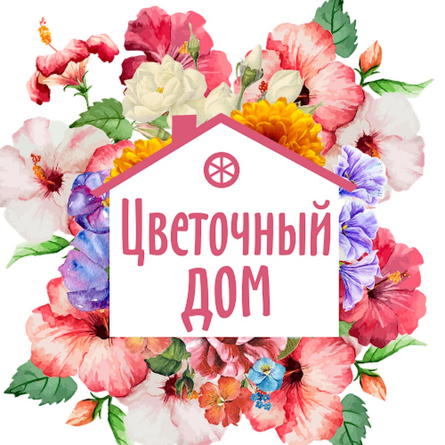 Цветочный дом шахунья график работы