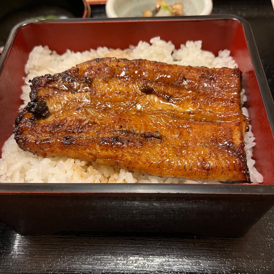 松井伸太郎 Youtube