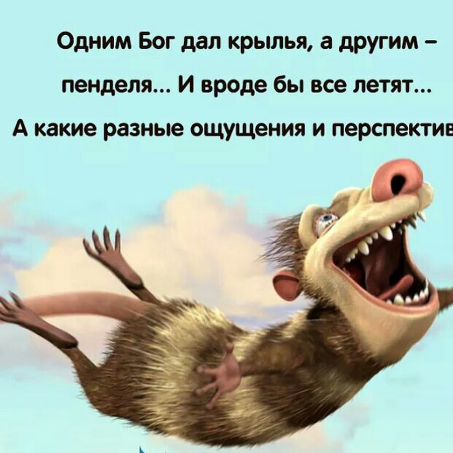 Братья опоссумы из ледникового периода