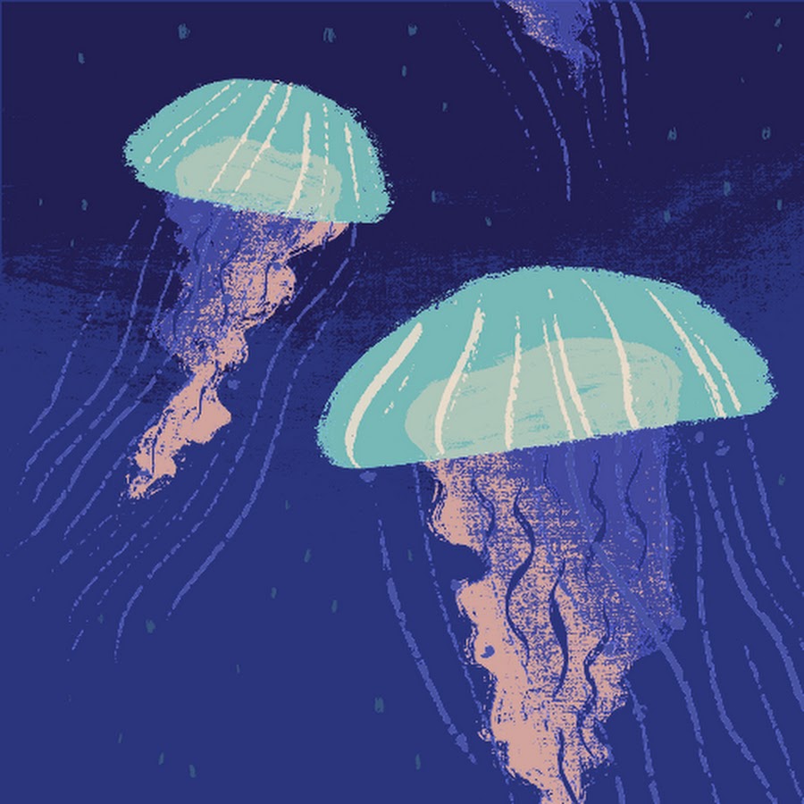 桑桑老师的日常 Youtube