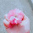 Sunk Shin