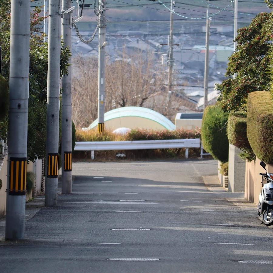 パンダ先生 Youtube