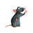 Rat Genuimous