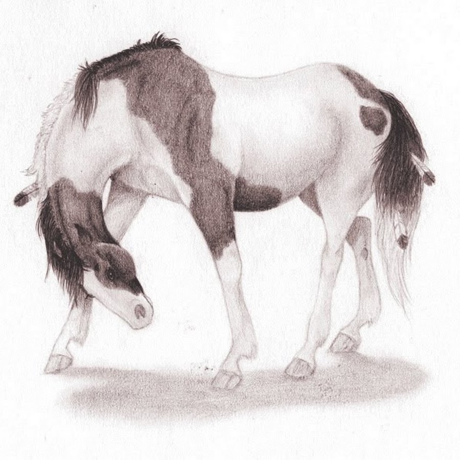 Записать лошадку. Лошадь Пржевальского арт. Horse Paintied Pencil.