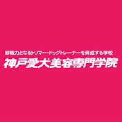 犬のリボン付け方 教えます Youtube