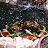Lito Loco 4 Fish Avatar