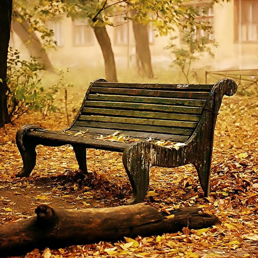 старая скамейка в парке