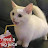 burncat Avatar