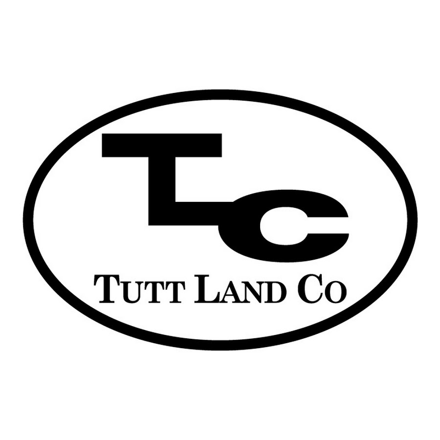 AKedOLQiaEkPoPnB0y6HL3uFzcx9fktVef9QNxTGNYsU=s900ckc0x00ffffffnorj