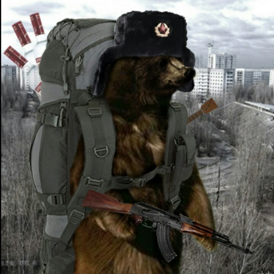 Вооруженный медведь