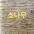 sy K