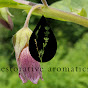 Restorative Aromatics YouTube Profile Photo