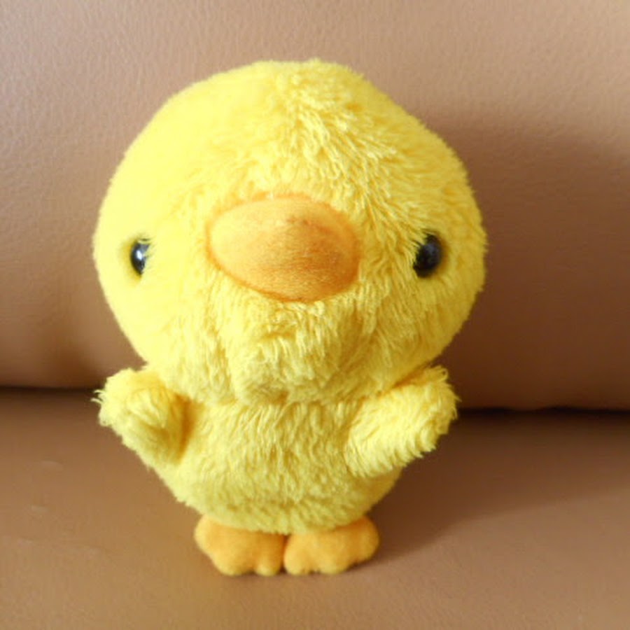 ぴよこチャンネル Youtube