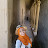 Sanaa Afifi Avatar
