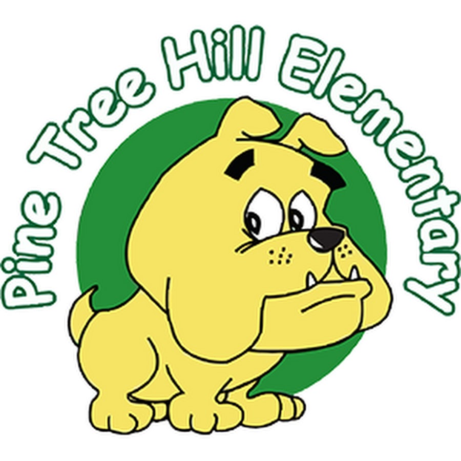 Pine Tree Hill Elementary School Youtube