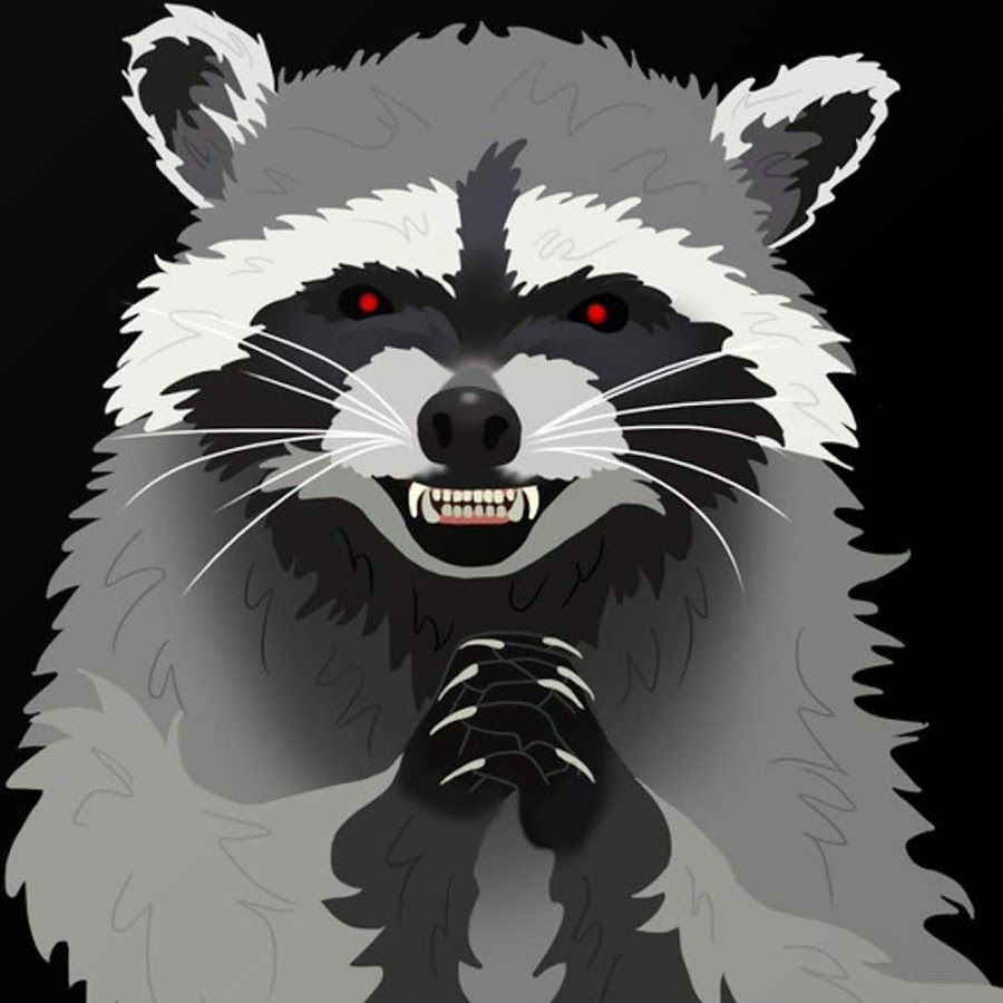 Злобный енот рисунок