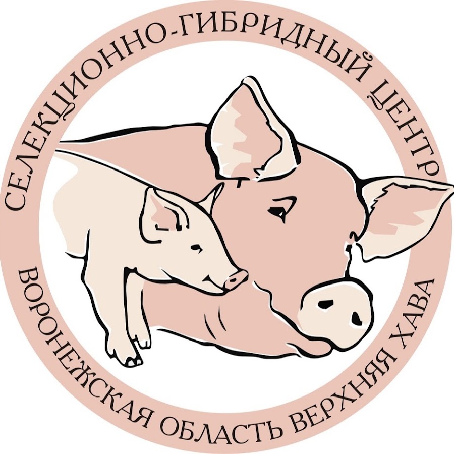 Риски реализации выявлены в 7 из 12 особо значимых проектах импортозамещения ПО 