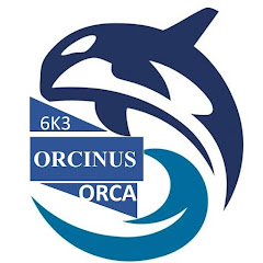 Orcinus Orca thumbnail